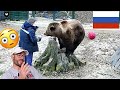 REACTION to Мансуркины вкусные посылки😋🐻