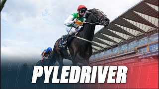 Can a £10,000 horse WIN a HK$20,000,000 race!? | Pyledriver