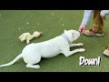 Queenie video