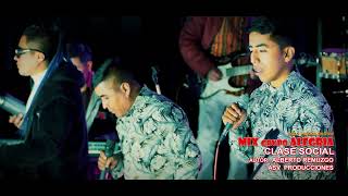 LOS CCONCHAS - MIX  ALEGRIA EN VIVO 2025 4K ULTRA HD