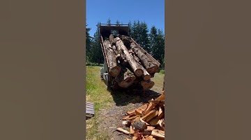 Load of Maple logs