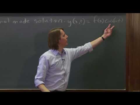 PHYS 201 | Normal Modes 1 - Guess a Solution