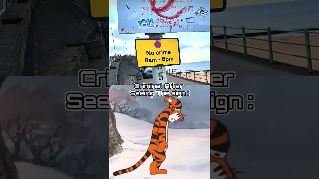 No Crime 8am - 6pm 😭 Criminals Be Like… 