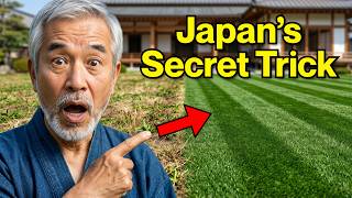 Trik Rumput Jepang Ini Akan Mengejutkan Seluruh Jalan Anda (Tanpa Pupuk)