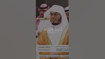 الشيخ ياسر الدوسري #تلاوة_خاشعة #اكسبلور #yasseraldossary #دويتو #المصحف #قران #تيك_توك