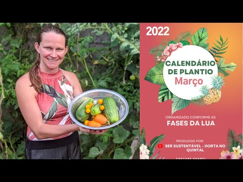 Vídeo: Datas de plantio de morangos para mudas de acordo com o calendário lunar de 2020