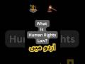 What is Human Rights Law ? | Urdu Version | انسانی حقوق کا قانون کیا ہے؟