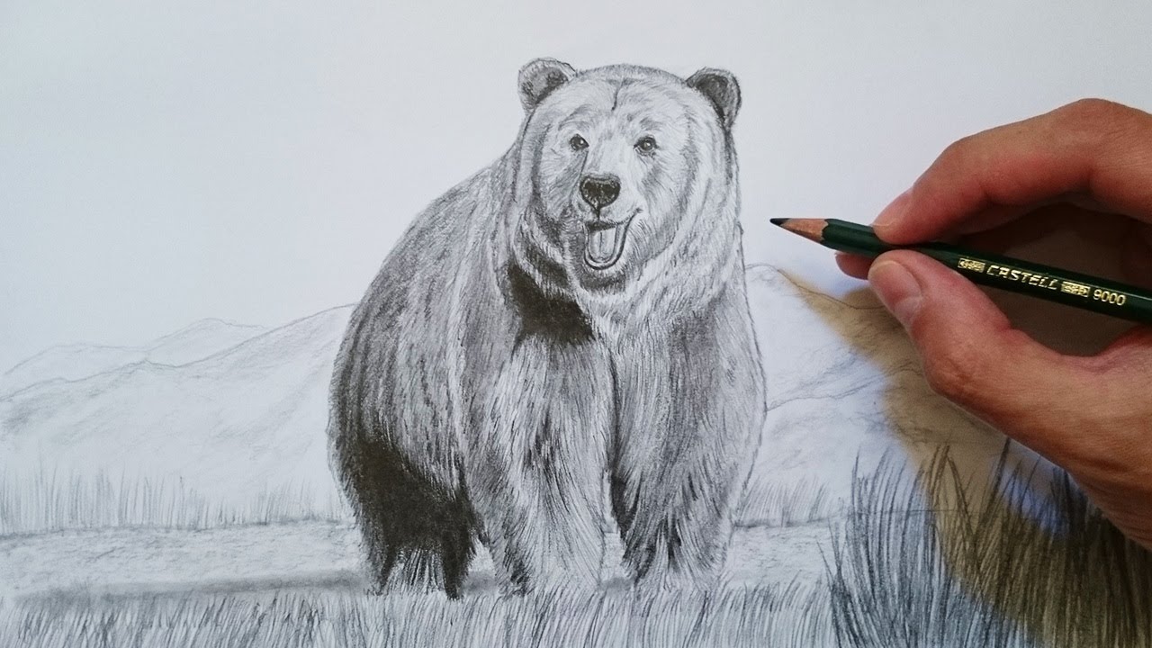 Cómo dibujar un oso grizzly realista paso a paso (FÁCIL) 🐻 - thptnganamst.edu.vn