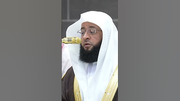 سورة ( الفيل) الشيخ بدر التركي
