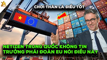 Netizen Trung Quốc Không Tin Khi Trưởng Phái Đoàn Eu Khẳng Định Điều Này Tại Việt Nam