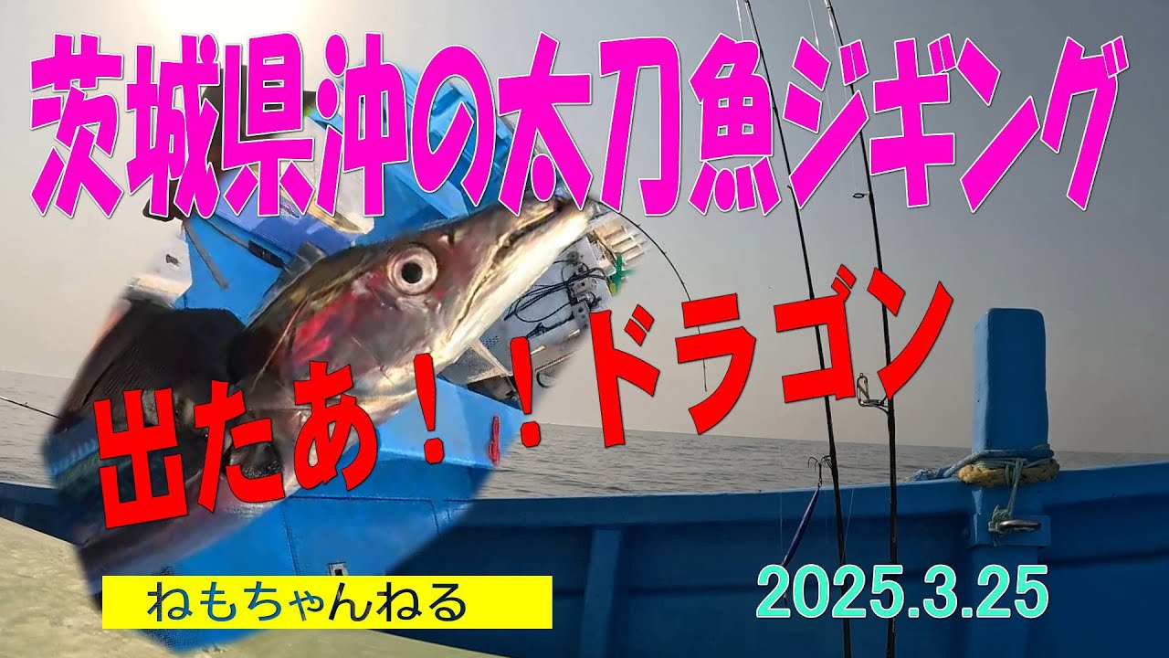 茨城県平潟沖のタチウオジギング