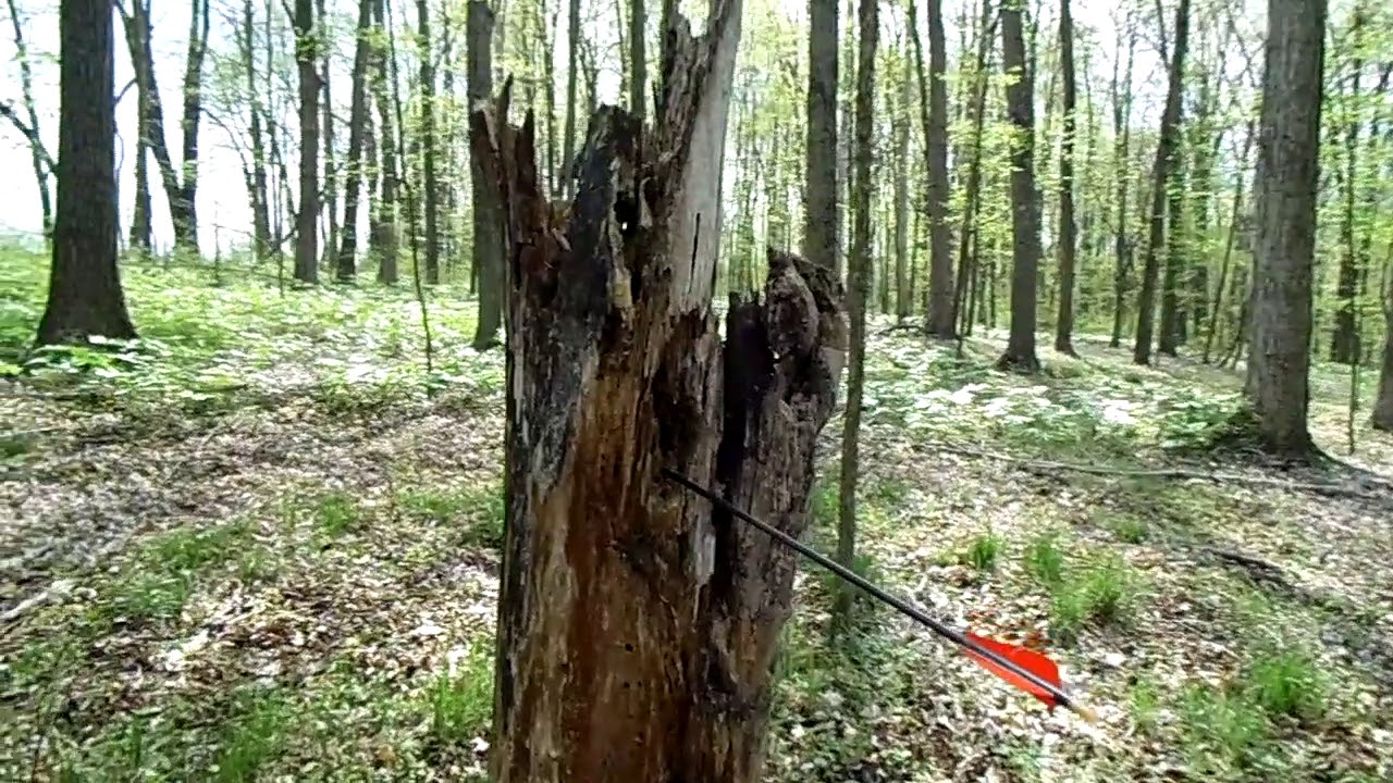 SAM 0839 - YouTube