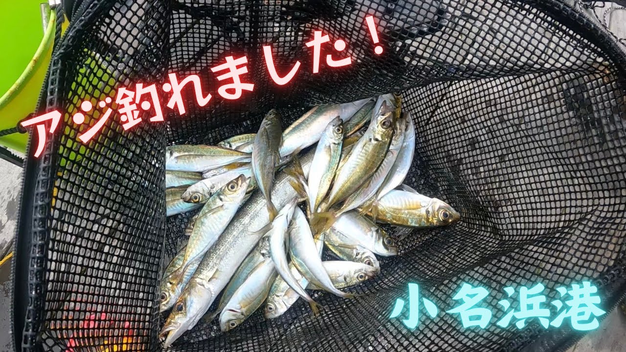 【海釣り】久々に小名浜港で釣りしてみたらカマスやアジが釣れました！