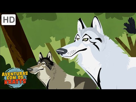 Criaturas da América do Norte [episódios completos] Aventuras com os Kratts