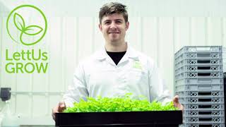 What makes LettUs Grow's aeroponics unique?