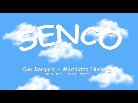 Marriotts Nursery - Sue Borgars SENCO: The Do's and Don'ts