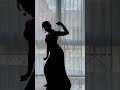 Zara Zara Silhouette Dance Dynamicdanceduo Bombayjayashri