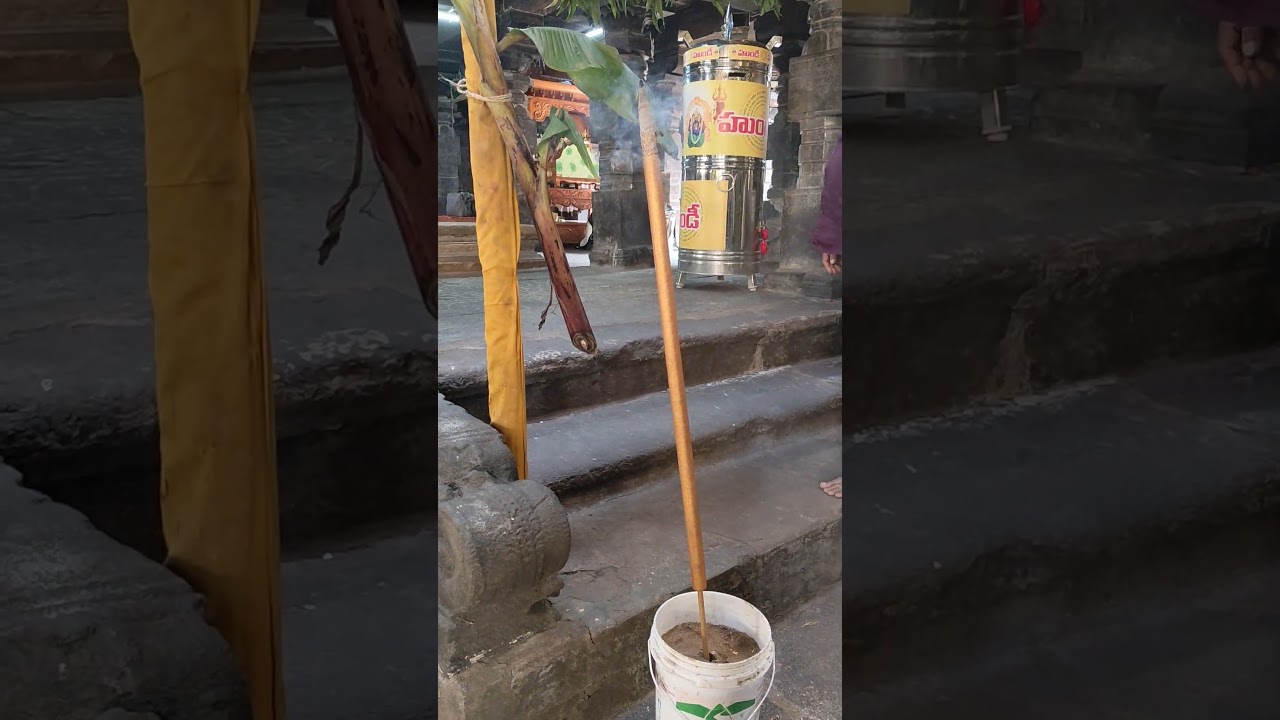 Tallest agarbatti in draksharamam 