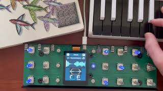 Groc granular synth - Reedy synth sounds to pulsing rhythms