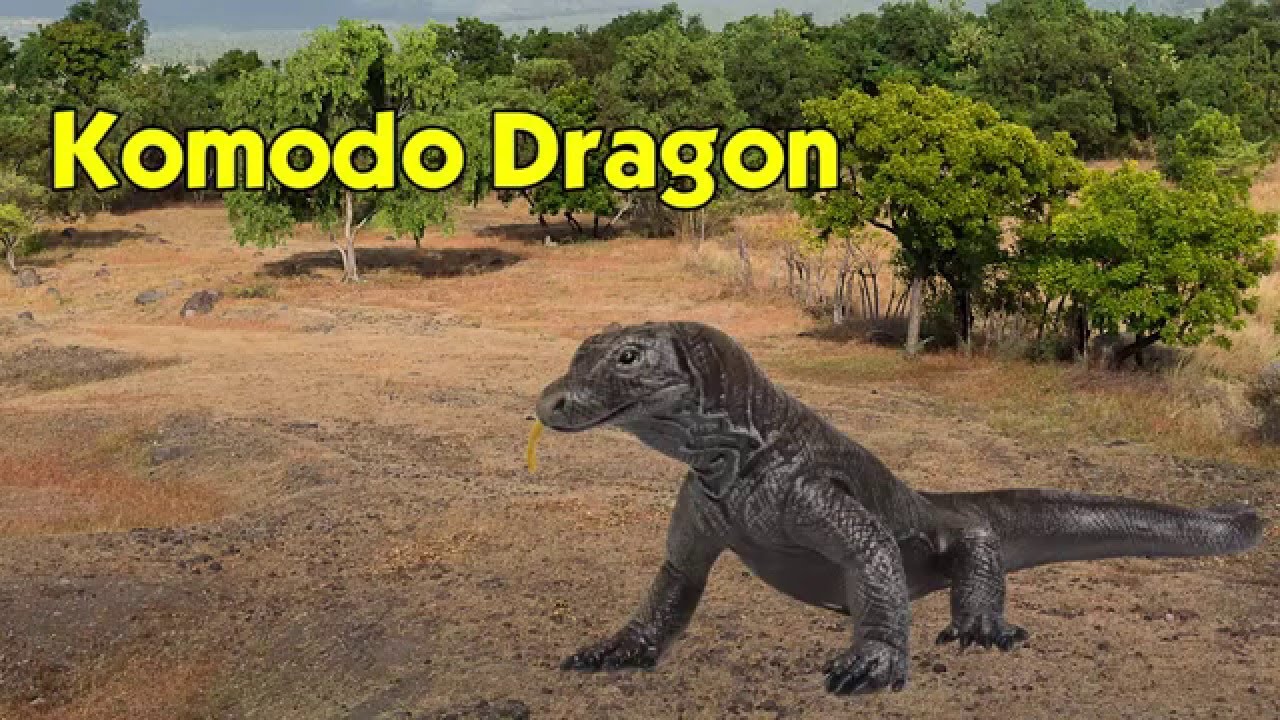 safari ltd komodo dragon