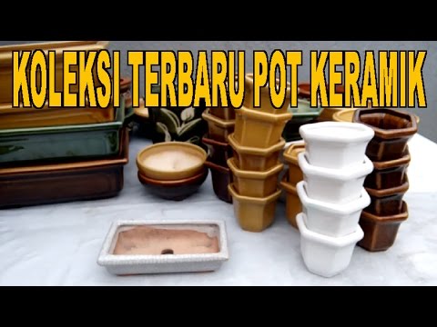 Koleksi Terbaru Pot  Keramik  YouTube