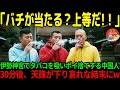 【海外の反応】「誰も見ていないからいいだろ！」神聖な場所である伊勢神宮で無礼な迷惑行為をした中国人観光客。神の怒りに触れた彼らが受けた天罰とは？