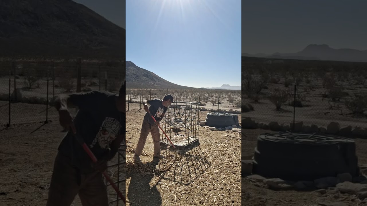 Cleaning up the goat pen 🐐