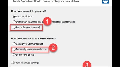 Team Viewer Run only without full installation life time free