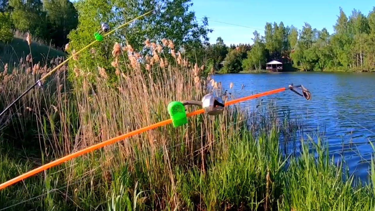 РЫБАЛКА НА КРУПНОГО КАРАСЯ. Донка с кормушкой в деле - YouTube