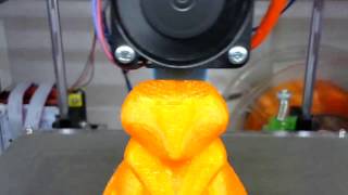 Ohina Fox Couple Timelapse - Female / HyperCube 3D Printer ESUN PETG