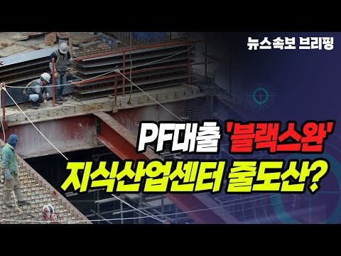 뉴스속보 PF대출 블랙스완 지식산업센터 줄도산 정완진TV 