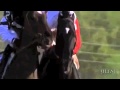 Horse racing - it's my life