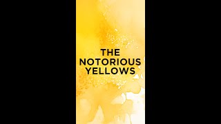 Notorious Yellows  The Tricky History Of Yellow Pigments