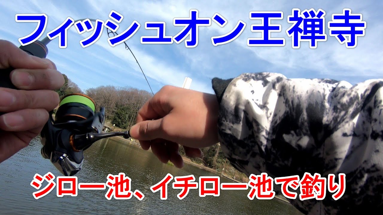 フィッシュオン王禅寺でジロー池、イチロー池で釣り