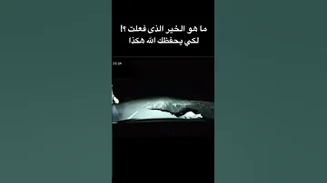 ما هي العبرة التي فهمتها من هذه الفيديو عقلية تحفيز إلهام اقتباسات انضباط النجاح العقول عمل 