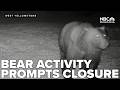 Bear activity temporarily closes Ghost Village area of Hebgen Lake Ranger District