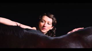Video thumbnail of "My Brightest Diamond - Something Of An End"