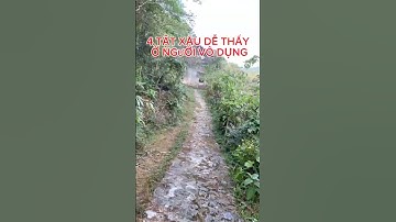 Hãy bỏ 4 tật xấu dễ thấy ở người vô dụng này #caonhanchiloi