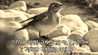 שיר עד - אל הציפור - מילים: ח.נ.ביאליק | לחן: עממי יידי | ביצוע: נחמה הנדל, 1965 - El HaTzipor