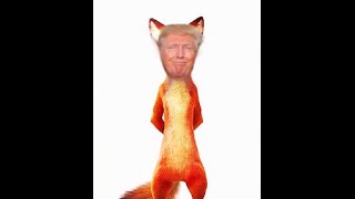 Donald trump is a furry