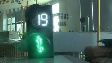 200mm still red pedestrian & white countdown timer+complex dynamic green pedestrian working video