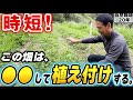 【自然栽培428】この畑の状態をどのようにして耕し、ズッキーニの植え付けをするかお見せします
