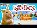 Hamster Roblox Obstacle Course 😜 Homura Ham