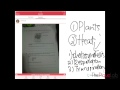 Understanding PSLE Science Concepts