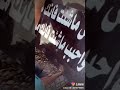 محمود الحسنات عش ماشئت فانك ميت واحبب من شئت فانك مفارقه