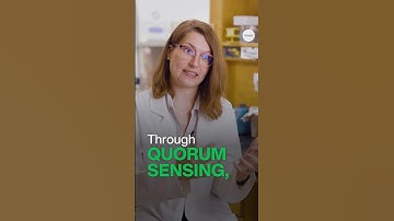 How is science unlocking new #antibiotics? #YouTubeShorts #Shorts #lab #education #STEMeducation