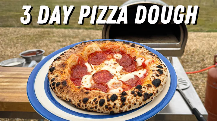 72 Hour Pizza Dough (Poolish Dough)