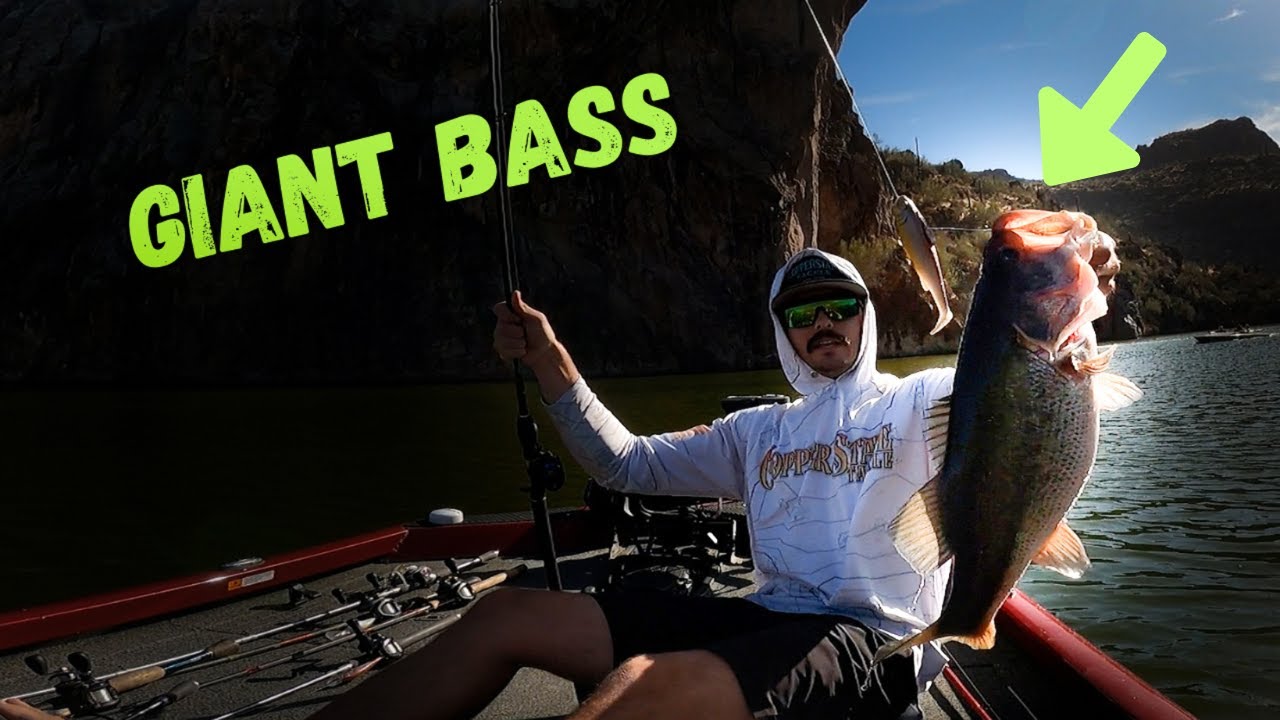 Catching Trophy Bass on Swimbaits & Chatterbaits – Saguaro Lake, Arizona