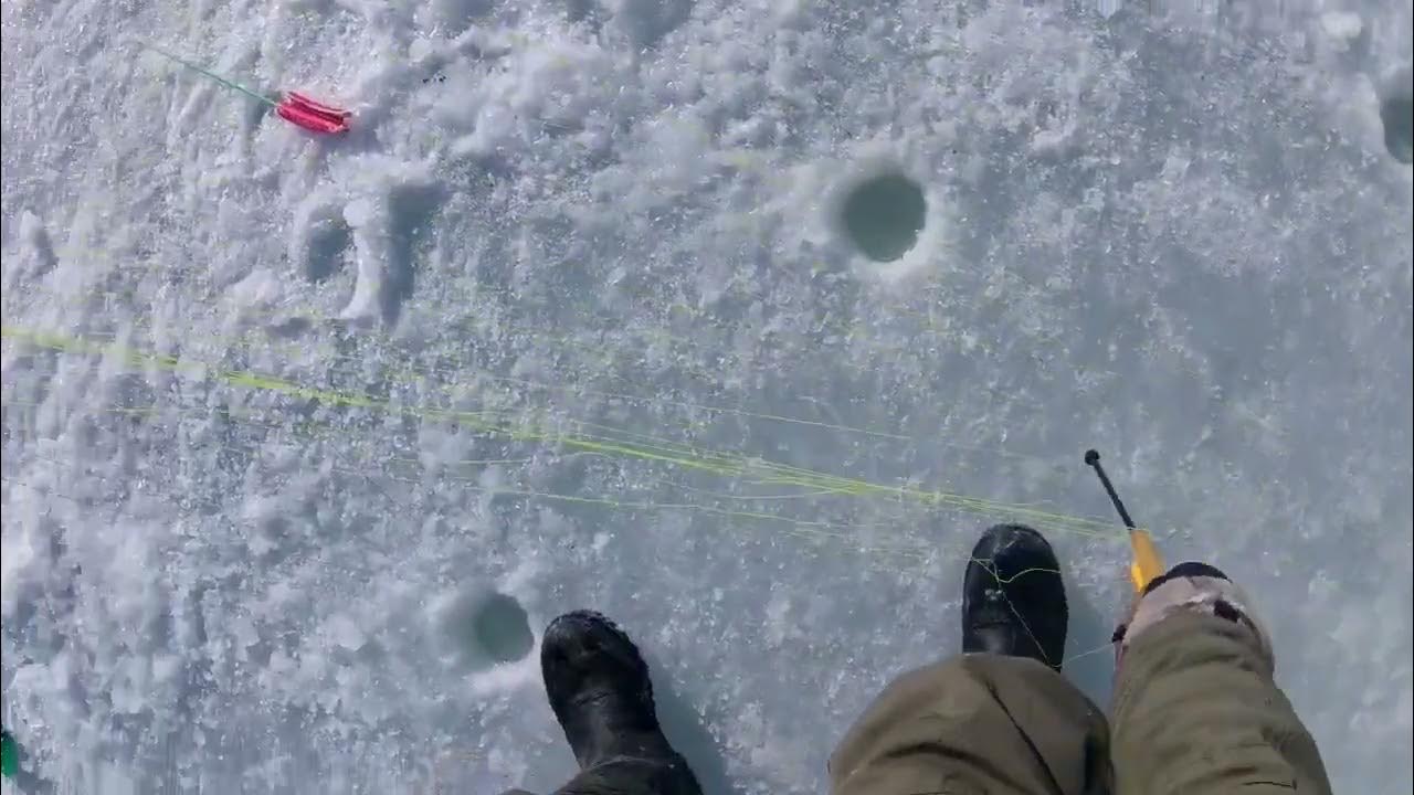 комбайн для рыбалки зимой. зимняя снасть комбайн на леща. снасть комбайн для зимней рыбалки. зимняя оснастка комбайн на леща. рыбалка на комбайн зимой.