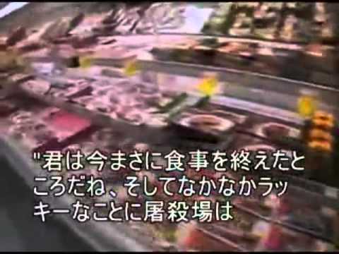 映画　Earthlings [アースリングス]　日本語字幕 ６/１３ 食べ物 豚ショート